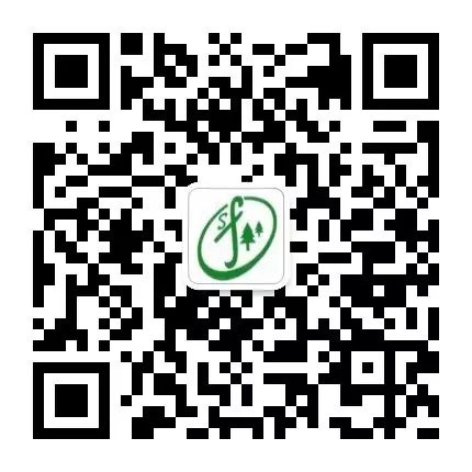 手机阅读